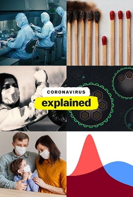 Coronavirus Explained