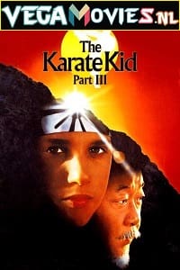 The Karate Kid Part 3 vega po Hindi Dubbed