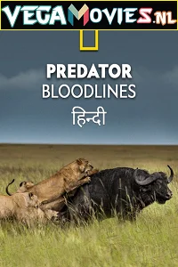 Predator Bloodlines 2021