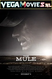 The Mule