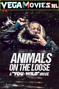 Animals on the Loose