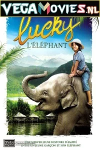 My Lucky Elephant 2013