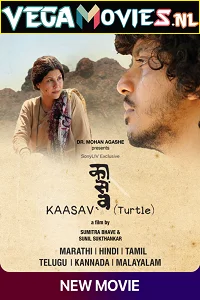 Kaasav Turtle 2017