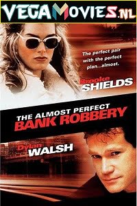 The Almost Perfect Bank Robbery