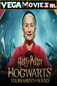 Harry Potter Hogwarts Tournament Of Houses
