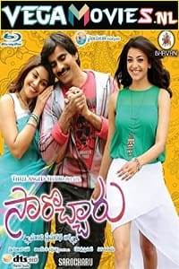 Sarocharu 2013