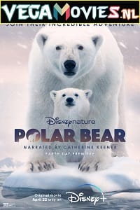 Polar Bear 2022