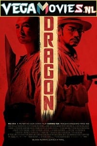 Dragon 2011