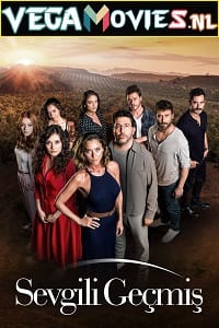 Sisterhood Poster