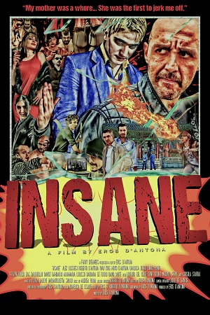 Insane 2015 poster