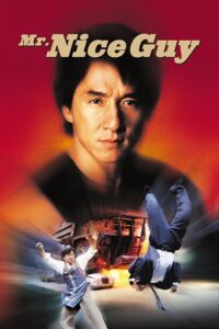 Mr. Nice Guy Hindi Dubbed