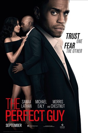 The Perfect Guy Hindi Dubbed